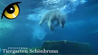 Tiergarten Schönbrunn | Zoo vienna | fall 2022
