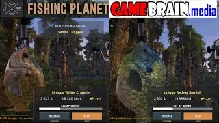 Fishing Planet 4K - Quanchkin Lake, Louisiana p1 - Beginners Guide to UNIQUE panfish
