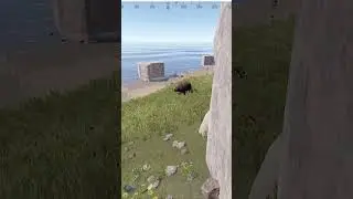 МОЙ ЯПОНСКИЙ ГЕРОЙ