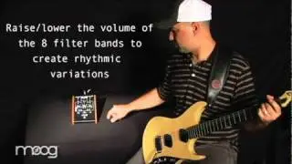 Moog Guitar x MIDI MuRF
