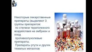 Лекция 7  Особенности человеческой  популяции в условиях экологического кризиса