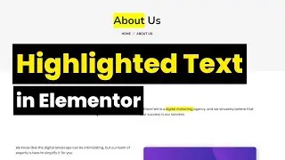 how to make highlighted text in elementor || make text highlighted