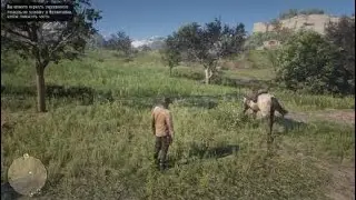 Red Dead Redemption 2 #5 Новый дом