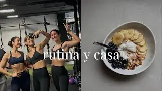 domingo 23 v2