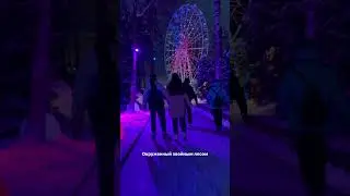 Лесной каток в Охта парке - каток в хвойном лесу всего в 10 км от Санкт-Петербурга 