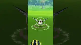 kgf Pokemon go 100%iv lucky me lol 😂