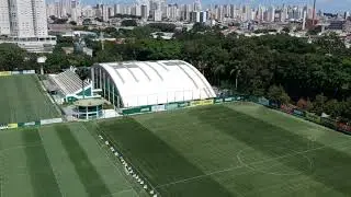 Palmeiras