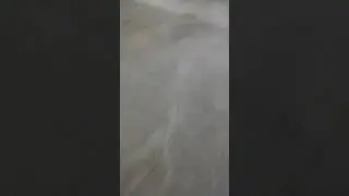 22 августа 2019 г.