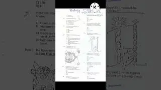 MDCAT 2022 | MDCAT TEST Prepartion  