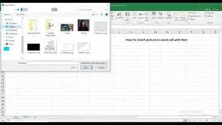 How to insert picture in excel cell with text