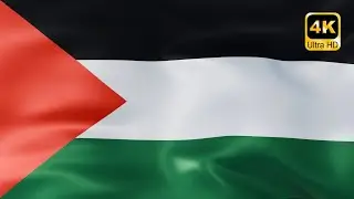 Palestine Flag Background 4k 🇵🇸|  علم فلسطين متحرك