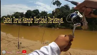 Patin Pahang Mengganas (||EP051)