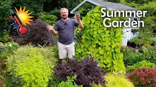 How to Garden in the Summer - June Garden Checklist - Summer Pest, Watering, Planting, Fertilizing