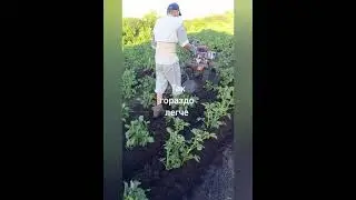 Ненавижу! Почему? Смотрите видео...