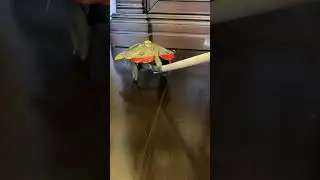 Жестяная игрушка СССР бабочка-каталка