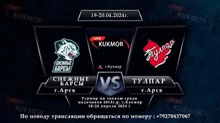 Снежные Барсы(г.Арск) - Тулпар(г.Арск)