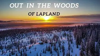 Auf zur Wildnishütte in den Wäldern Lapplands