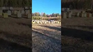 14 марта 2024 г.