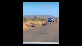 Сила в единстве! Уничтожение 
