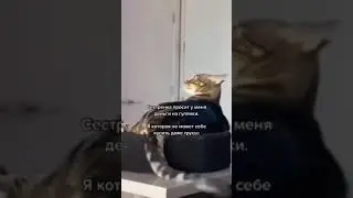 Сестра просит деньги на гулянки 