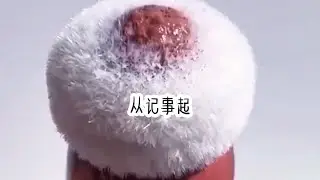 （别样鼠幻)好看小说推荐。从记事起我奶奶就经常叮嘱我：剪下来的指甲千万不要乱扔，要是被老鼠吃了可就完蛋了。