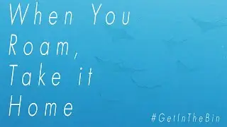 When you roam, take it home - A Short Film #GetInTheBin #CreatorComp2020 #LiveHereLoveHere