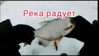 Злая поклевка,чуть удочку не утащила .Ловля в глухозимье на малой реке.