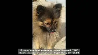 #Музыкальные