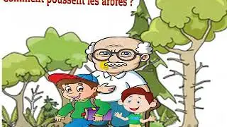 Comment poussent les arbres? La lecture 4AP U5 S1
