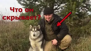 Вся правда о канале Ягодка к Ягодке. Предпринимателем рождаются или становятся?