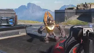Stupid Grunt... (Halo Infinite)