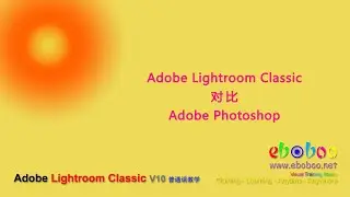 Adobe Lightroom Classic 对比 Adobe Photoshop - 普通话教学