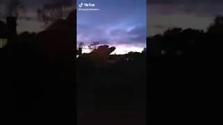 hamodi alkasem tik tok