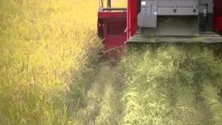 2012年　稲刈り　汎用コンバインMCH1100　日本最北の稲作地帯遠別町にて。