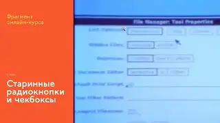 На интерфейсном курсе: показываю старинные радиокнопку и чекбокс