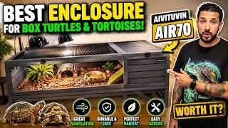 The Best Enclosure  for Box Turtles and Tortoises by Aivituvin, AIR 70