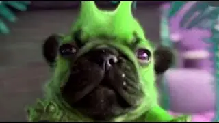 illegal aliens discord meme