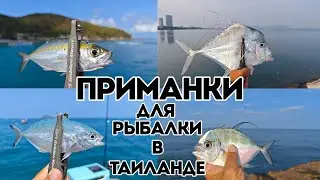 About fishing in Thailand (Pattaya). What kind of fish is caught. What kind of bait is needed. Fi...
