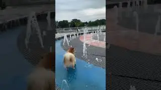 Лето в разгаре в Калининграде🤩