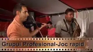 Grupul Profesional-Joc rapid