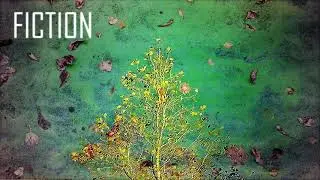 Midnight Shoppers - Fiction