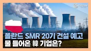 폴란드 SMR 20기 건설한다...'팀 코리아' 나서나