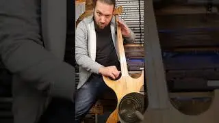 The Anthropomorphic Bass - My Collection