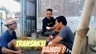 BAMBU HALUU II Eps.3