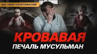 Кровавая печаль мусульман  | Абу Умар Саситлинский