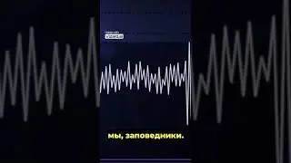 ПОСЛЕДНЕЕ ПРЕСТУПЛЕНИЕ