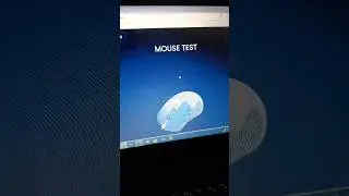 mouse testing , Web site:- 