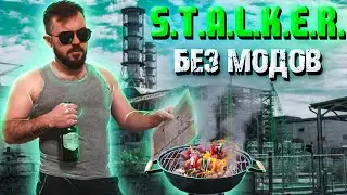🔥это БАЙТ?🔥 СТАЛКЕР ПЕРВОЕ прохождение | Стрим Чистое небо stalker | 37Black