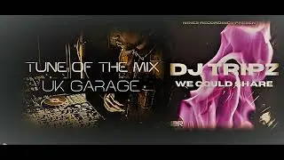 DJ Tripz - We Could Share
