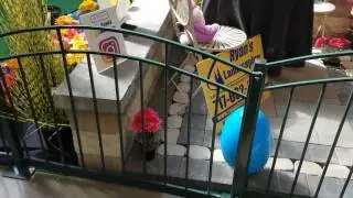 The North Hanover Mall Easter Bunny Display 2017 -  Ryan's Landscaping